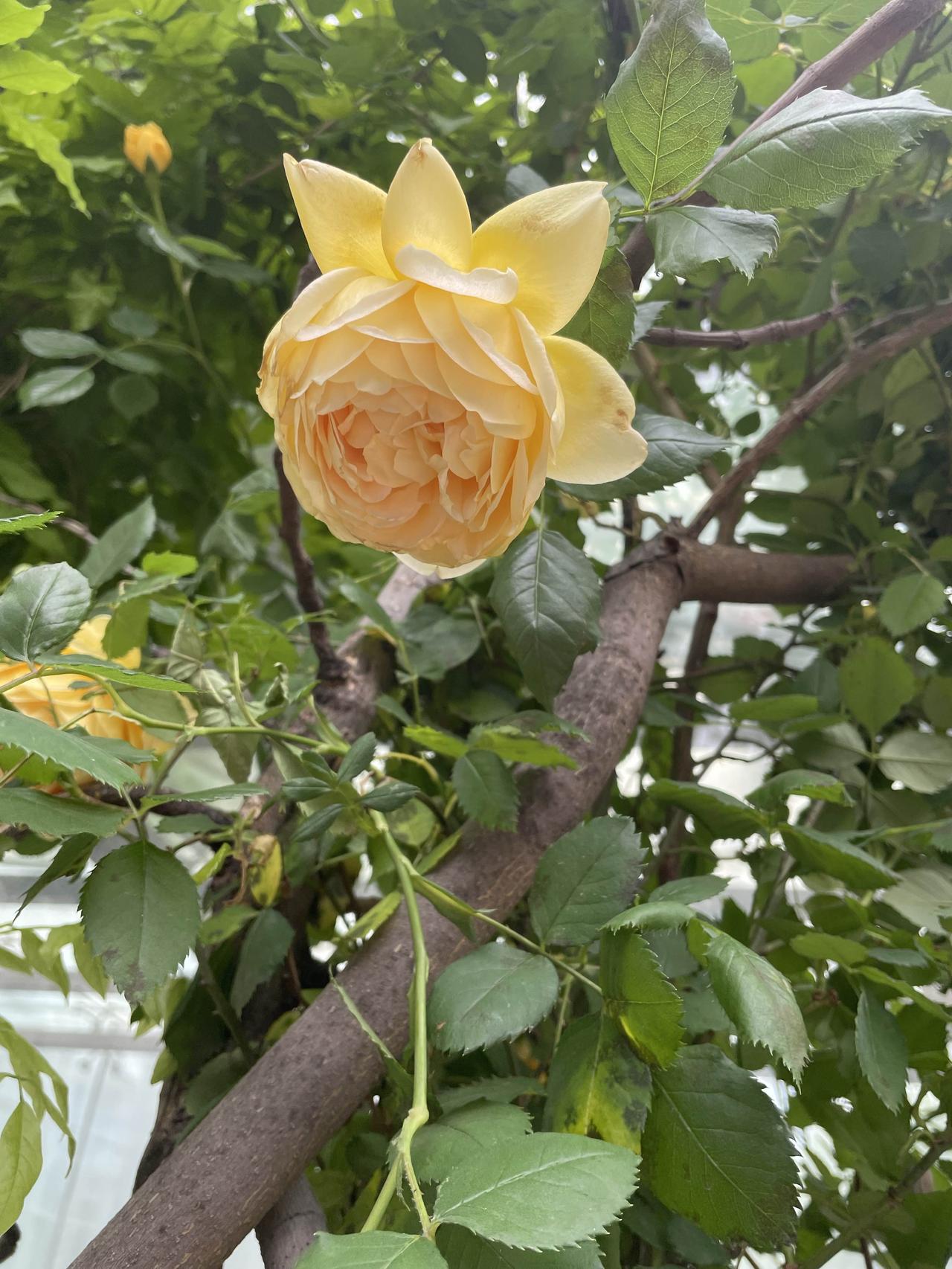 最近越来越觉得慢下来生活特别的重要，而且好处多多！以后要保持这种节奏！