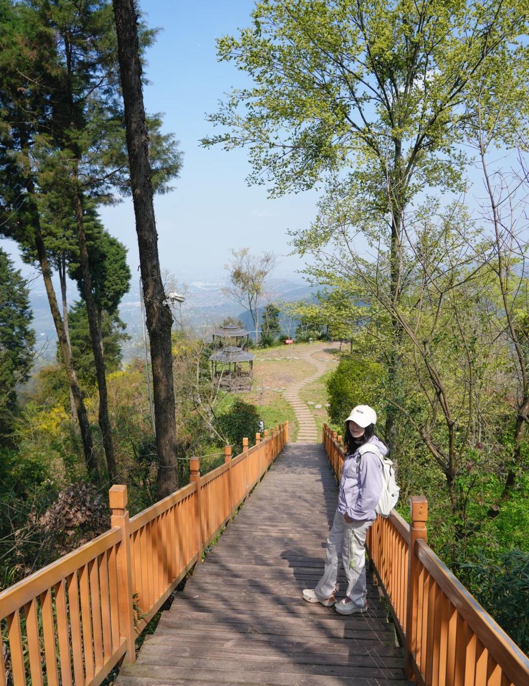 成都40min！登高望远徒步赏花🌸亲子也很友好
本来是去鹅顽岭徒步的，发现很大