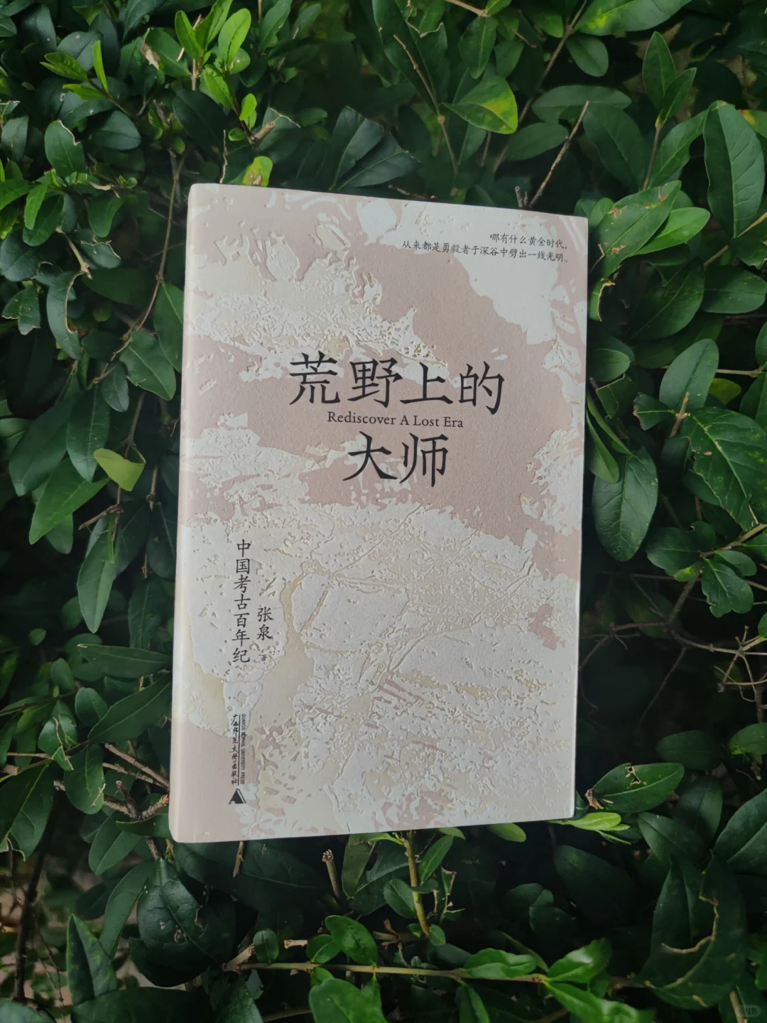 《荒野上的大师：中国考古百年纪》