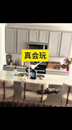 乖乖嘞！看这猫搁凳子上仰着个脸来回穿梭，真是会玩得没边儿！
一会儿从这头钻到那头