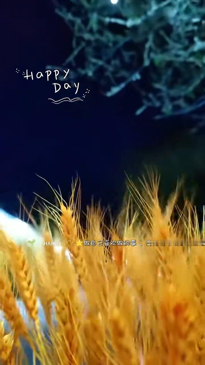 做自己喜欢做的事，奔赴简单快乐的生活。