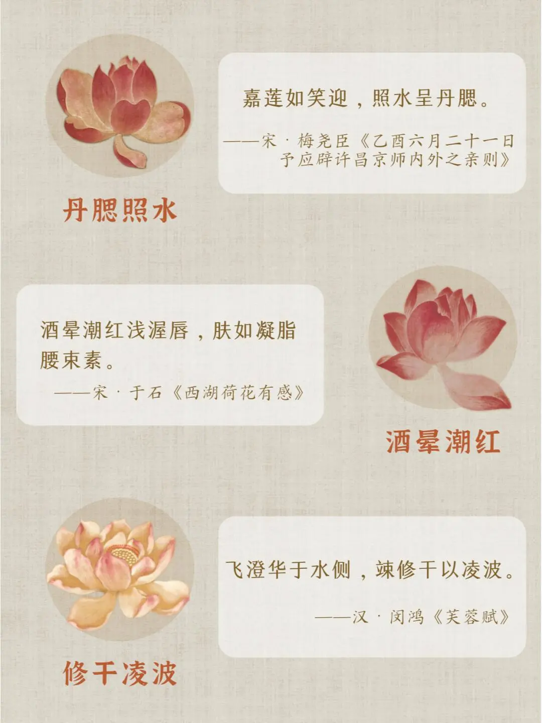 堕寒波，叶翻风丨古人对荷花的诗意雅称