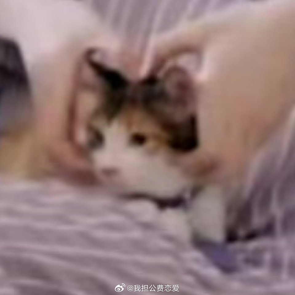太萌萌萌萌萌萌萌 