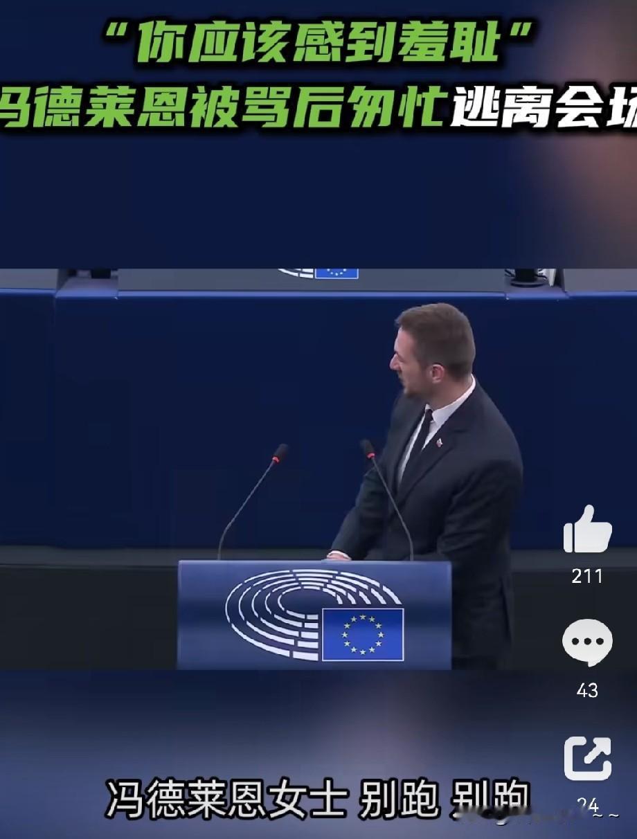 …别跑！别跑！冯德莱恩女士！你应该感到羞耻，你和泽连斯基试图再骗取欧洲人700亿
