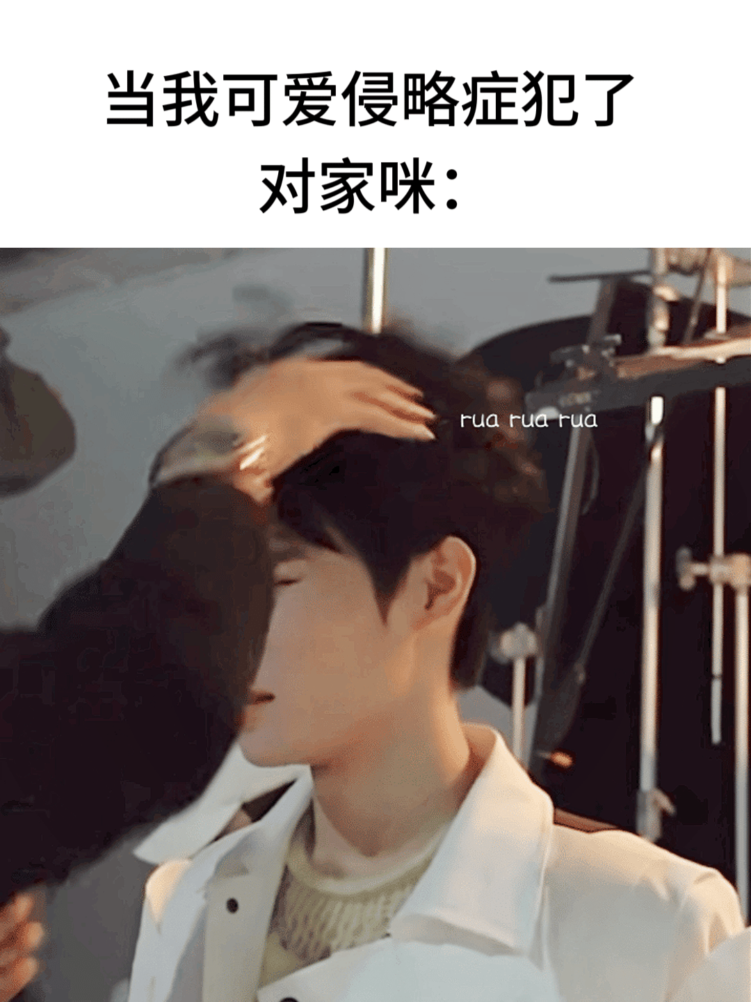 ＾ω＾ 