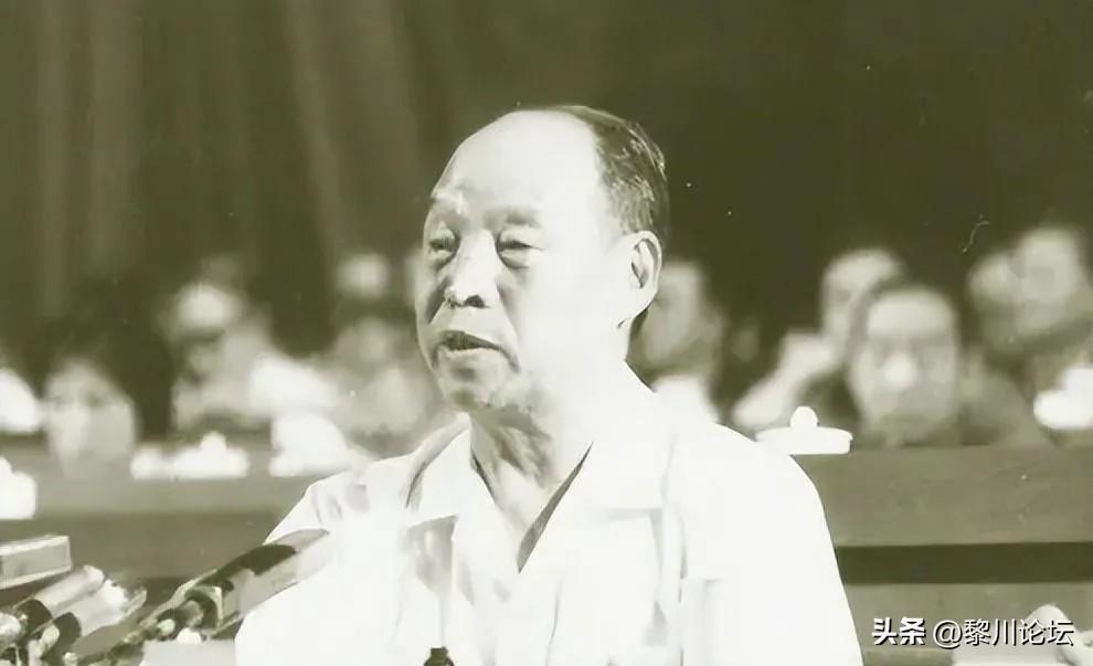 全国人大常委会原委员长彭真，就我们该举什么旗帜的问题，说了一段发人深省的话，今天