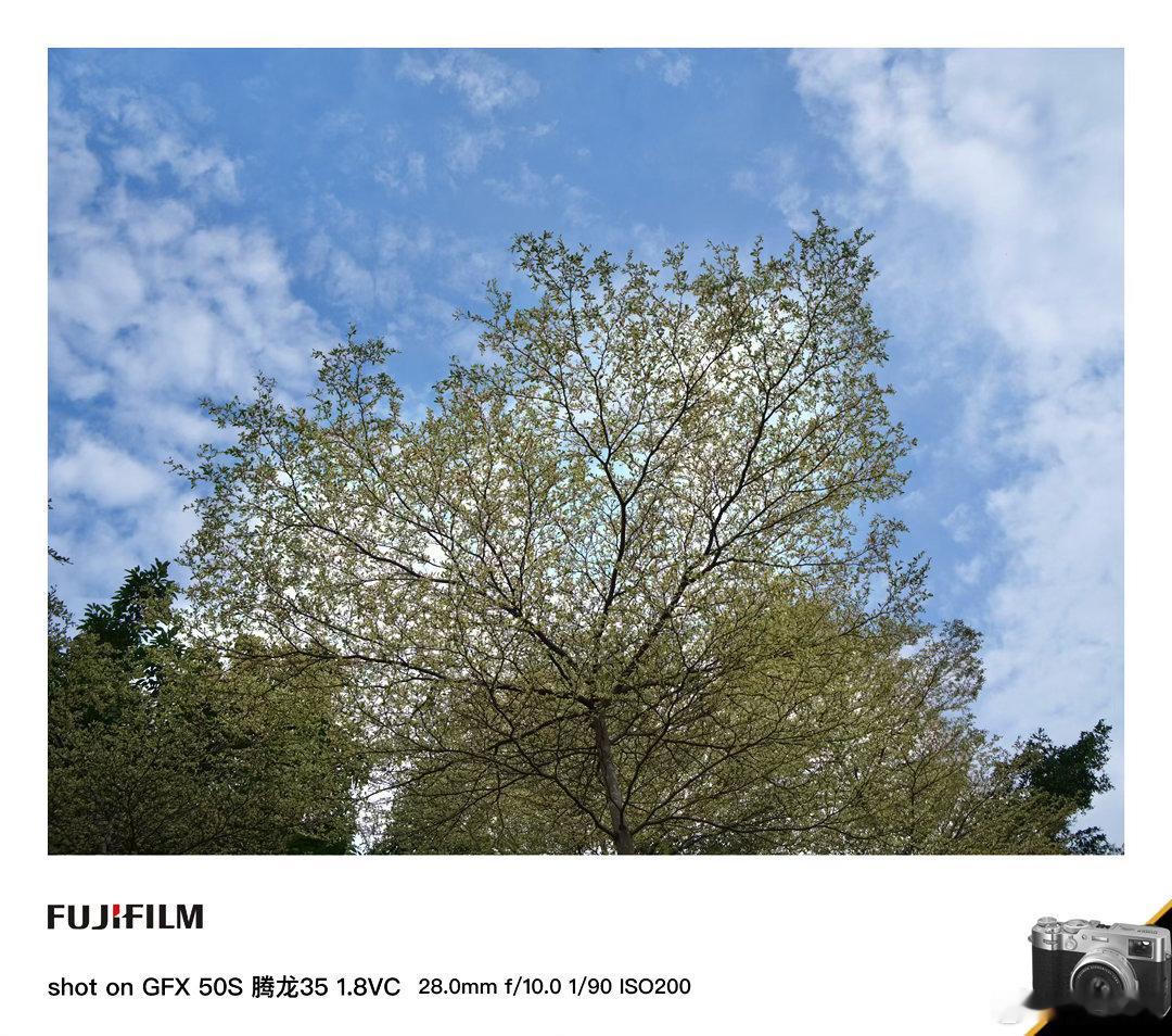 广州黄埔发展公园的蓝天白云风景摄影记录生活 腾龙35 1.8VC 广州·上下九步