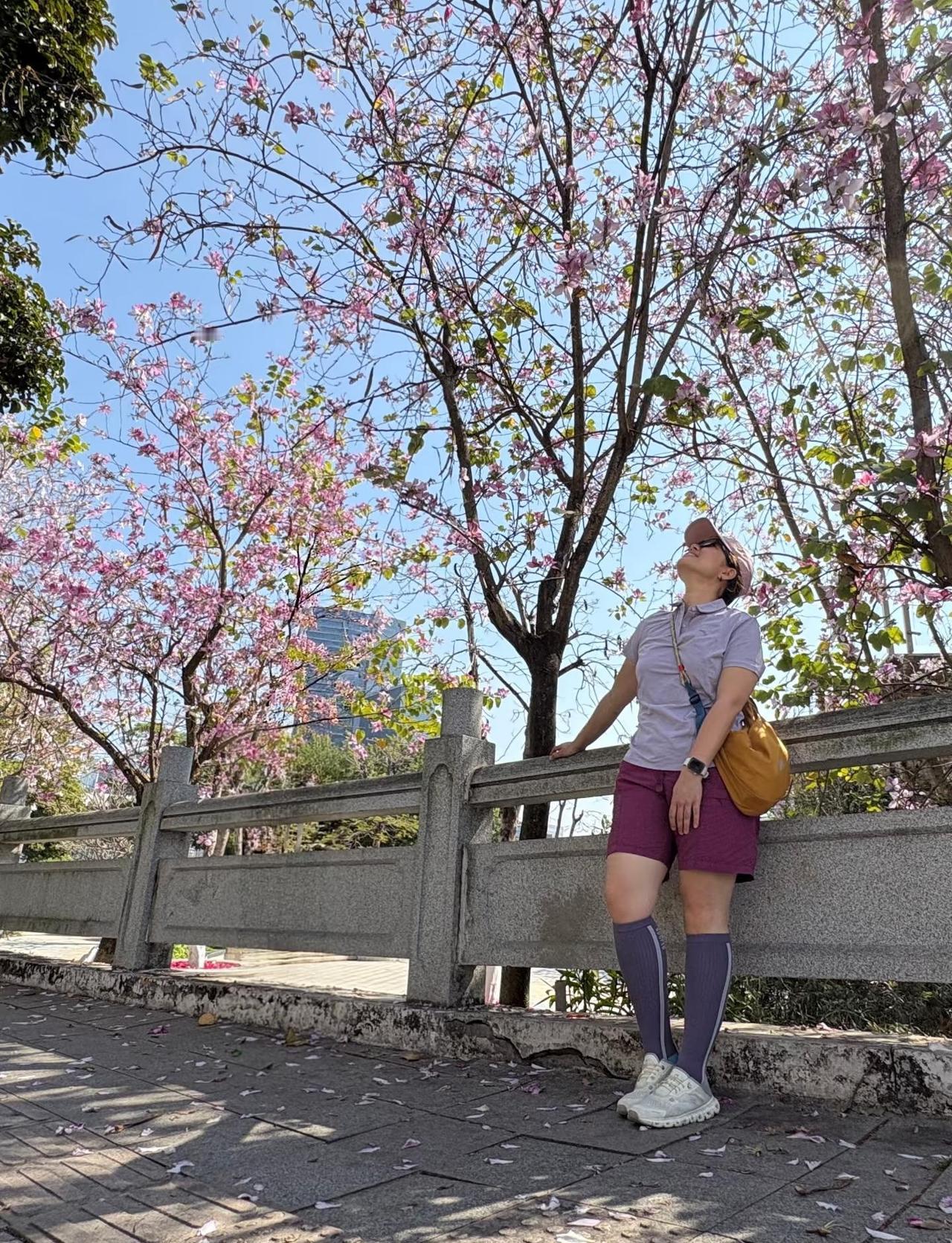 广州 | 南沙citywalk～4.6km串联两大公园
乙巳年最后一场徒步，简简