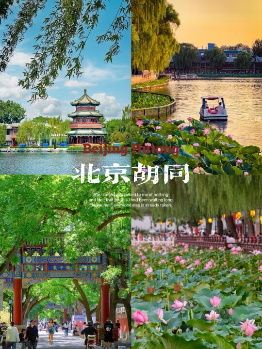 最适合北京夏日的citywalk路线🌲 赏荷避暑 🌳一日游玩路线 ...