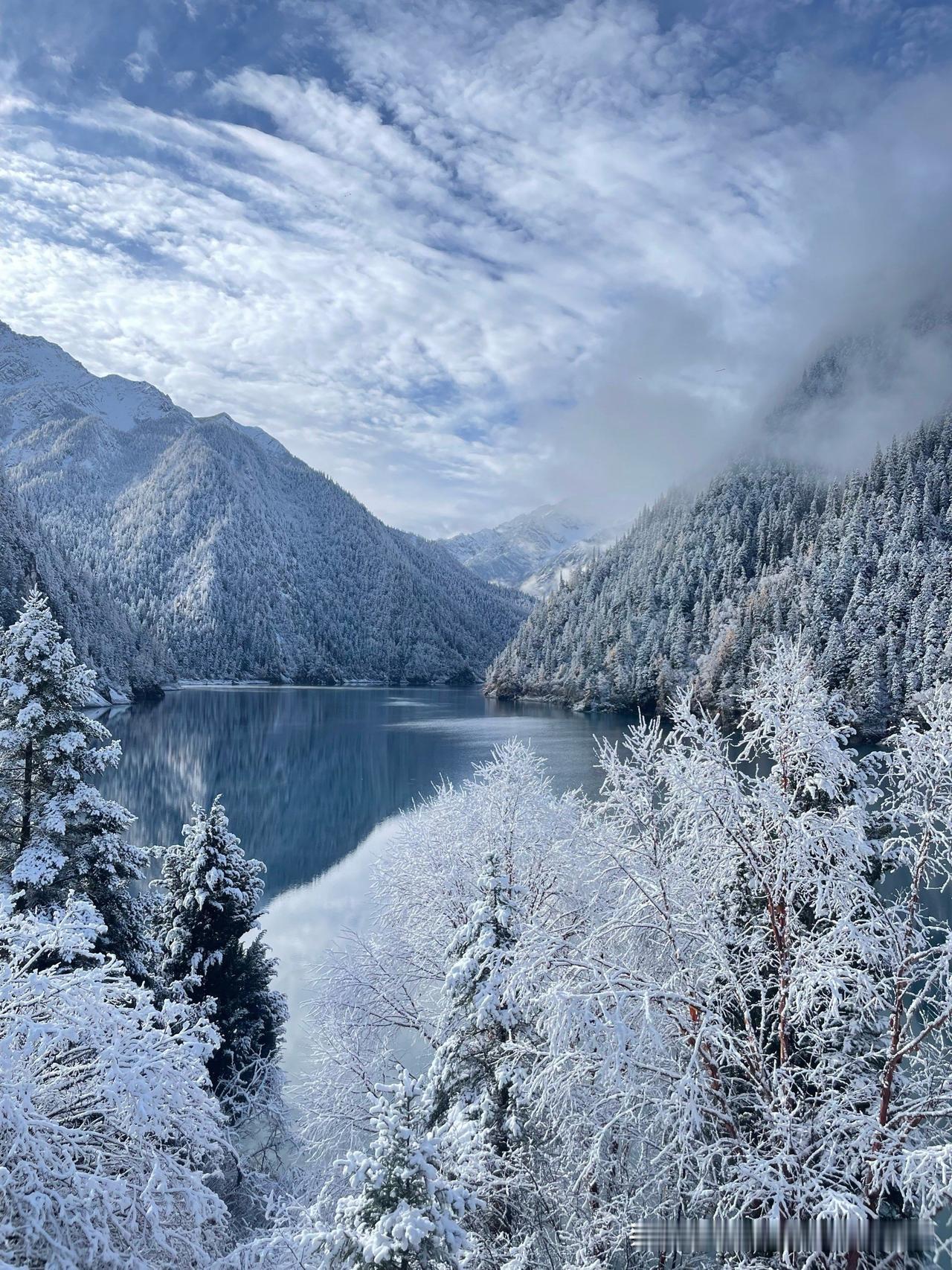 远山覆雪，如披银绸，朦胧于薄雾之中。
古松枝头坠满蓬松积雪，时而簌簌滑落，惊起一