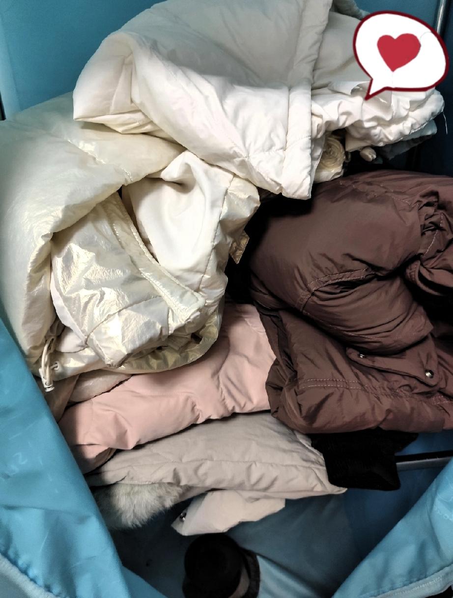 今天下午收到一箱衣服
原来是四妹寄来的
她说这几天瘦了
很多衣服都穿不下了
就给