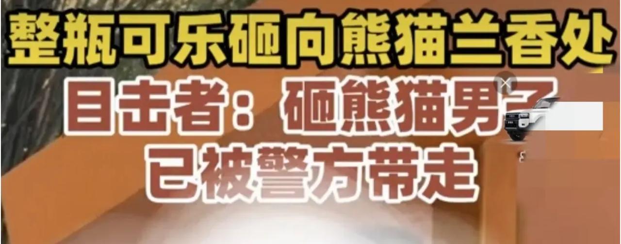 男子拿可乐砸向熊猫被警方带走，男子的行为引起了公众的愤怒和谴责！

2025年1