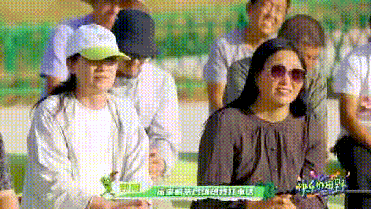#双胞胎爆改梨王爱妃#郭亮郭阳兄弟的互动让人捧腹大笑。在挑选梨王梨后的过程中，他