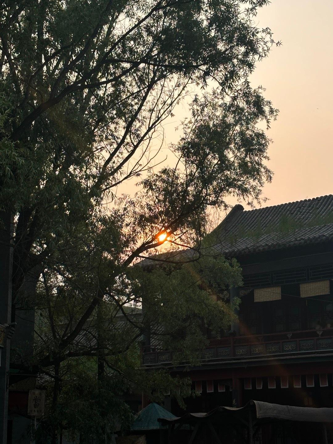 🫧🫧与你分享美景#宋之馨[超话]#  ​​​