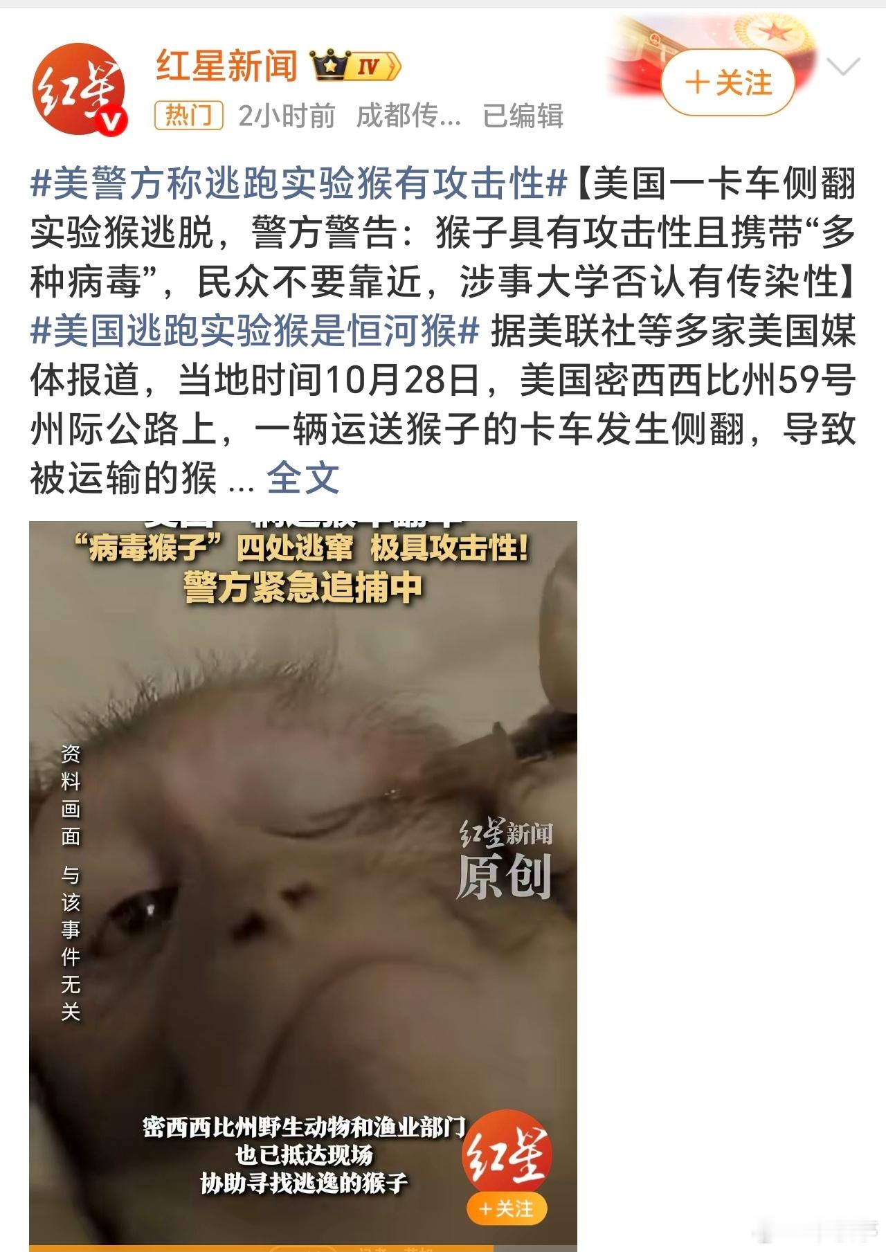 美国又有实验用猴跑了卡车侧翻，一车实验猴逃脱，而且极具攻击性且携带多种病毒！这是