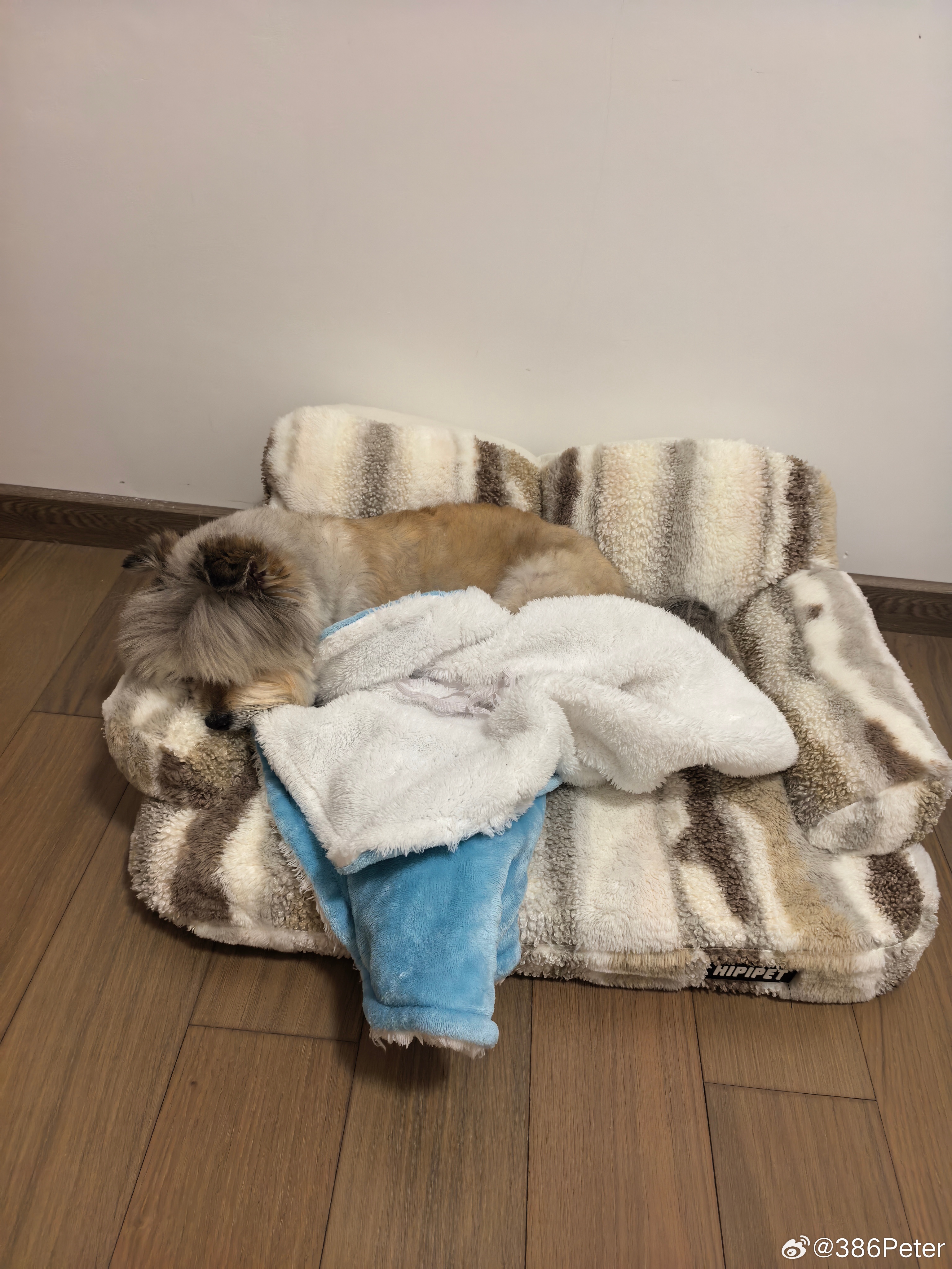 阳阳睡了，我也要睡了 ​​​