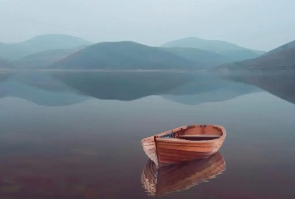 张海敏医生一句话把我点醒。

她说人就该没心没肺地活。

别揪着过去哭。

别替