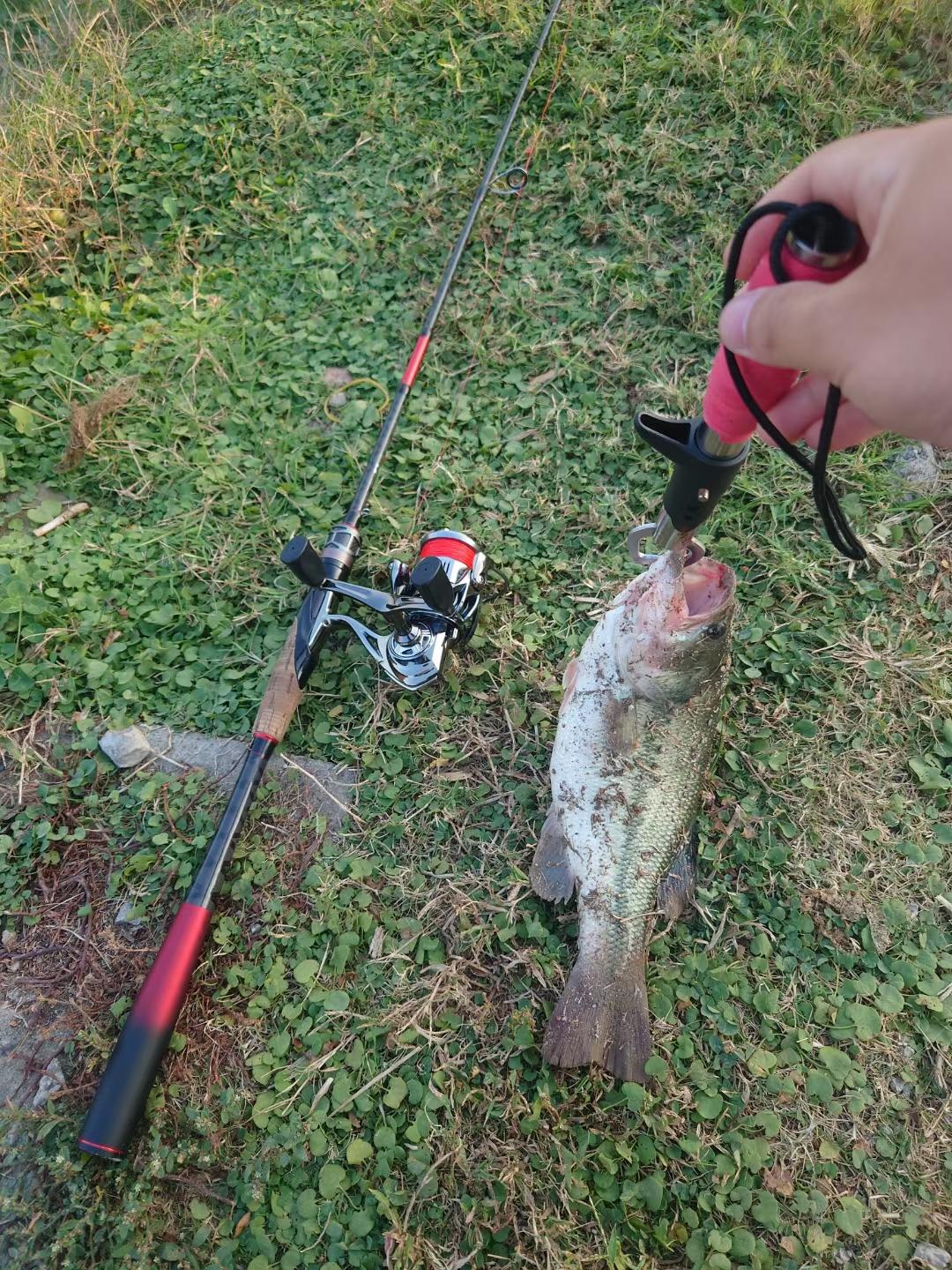 新钓友破龟了～钓友上个月才刚接触路亚，配的竿和轮，现有如此战绩，相当可以了。又想
