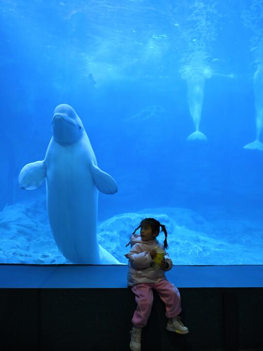在舟山，我愿意带娃N刷的亲子酒店