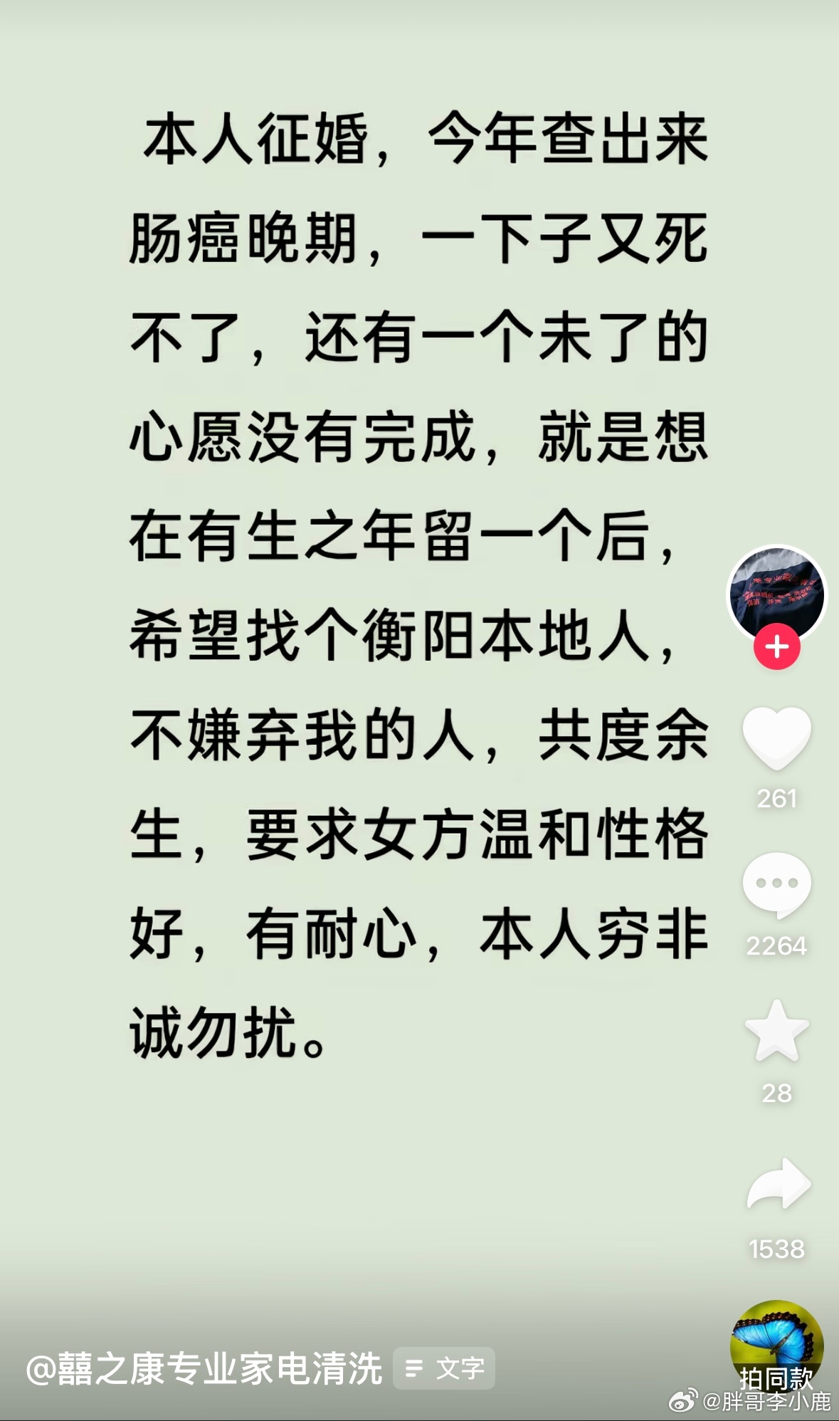 民间艺术观察