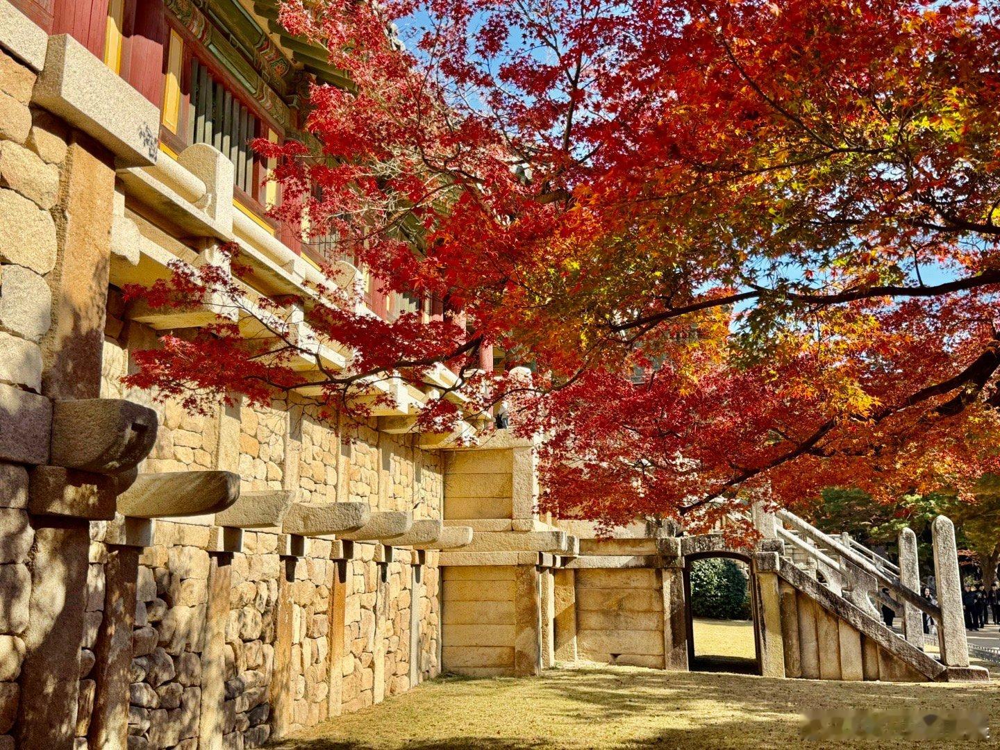 佛国寺的秋色。毋庸置疑，布尔古萨的红叶是汗谷格最漂亮的。