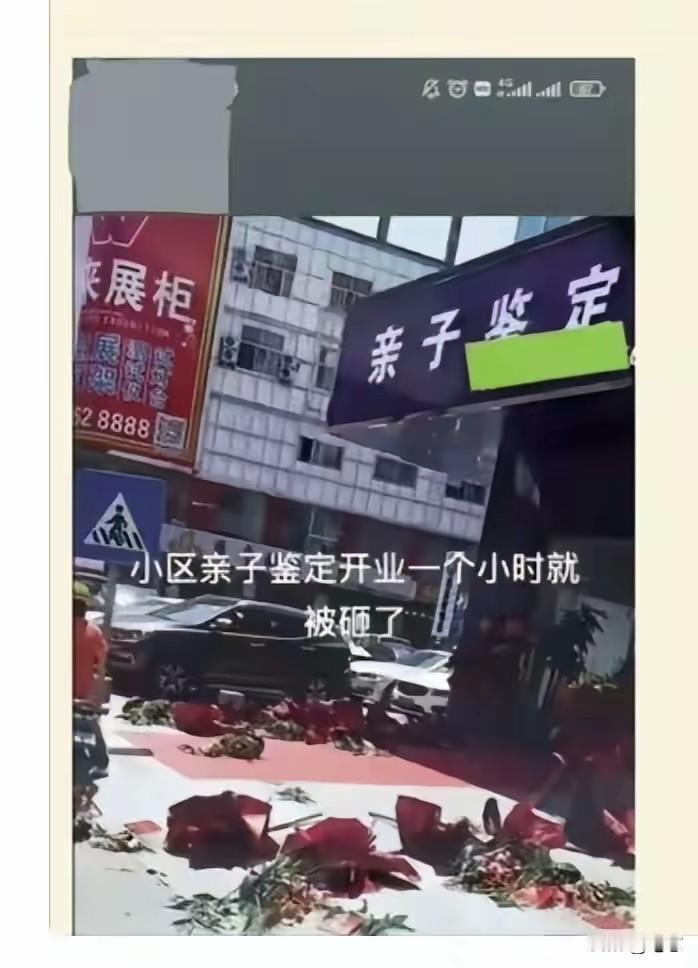 这是什么个情况