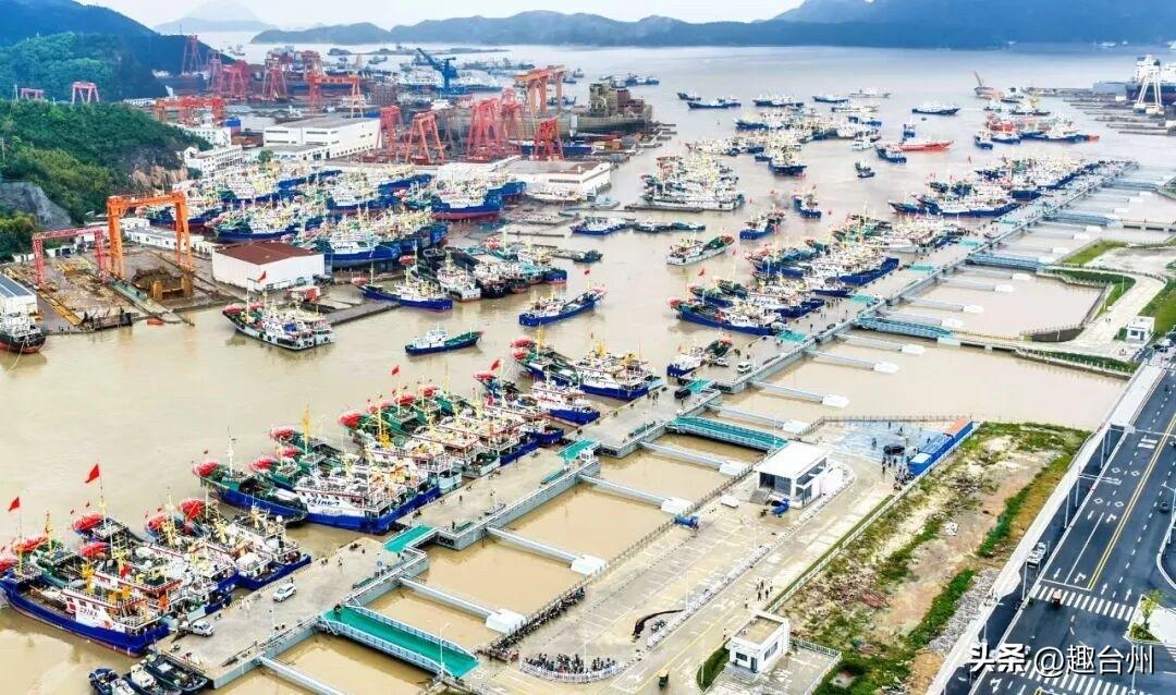 30亿打造！台州最大渔港综合体试运行，东海"第一网"直达餐桌

8月11日，东海