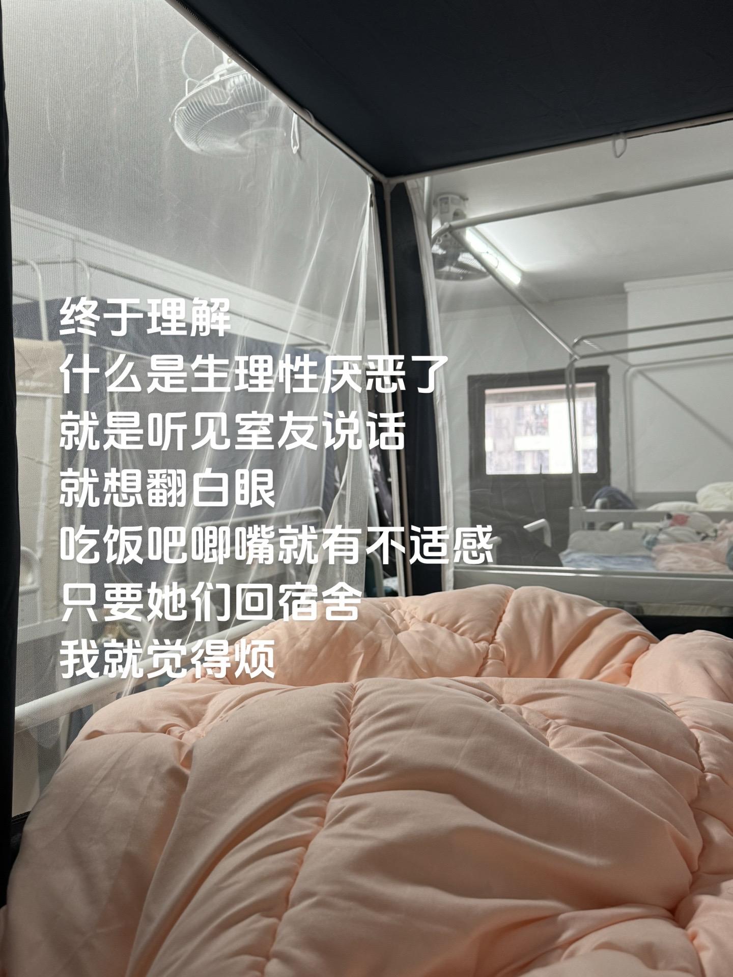 终于理解什么是生理性厌恶了宿舍
