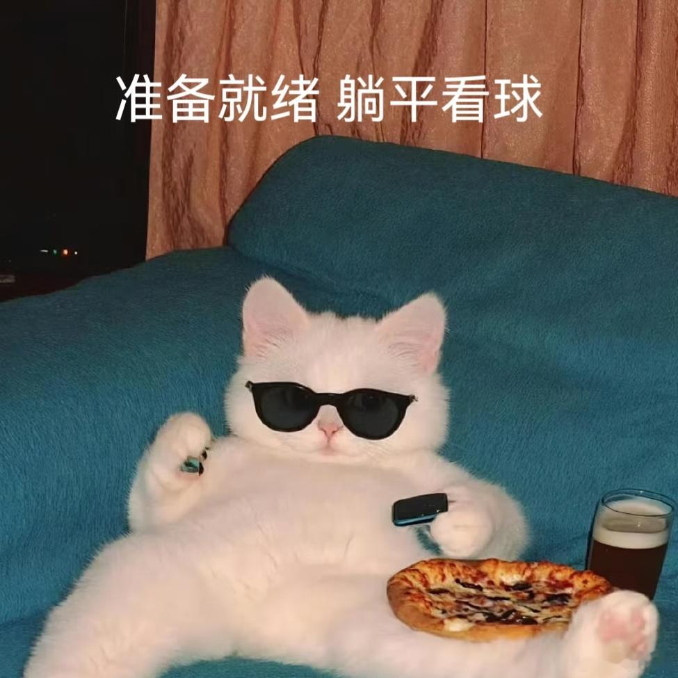 世界杯开始后突然很懂球的人一到赛事时间，身边瞬间冒出大批“资深球迷”。侃侃而谈战