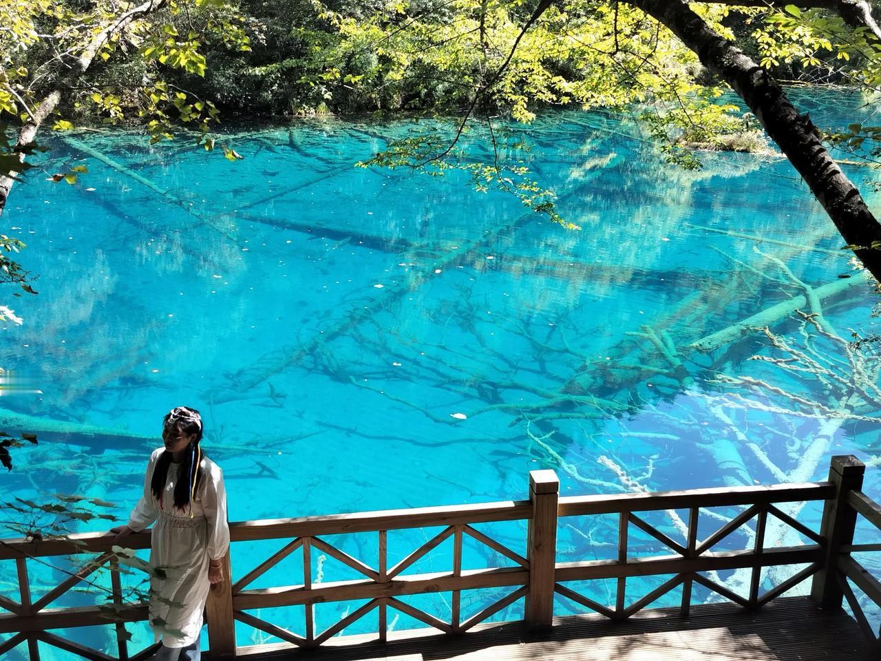 夏日生活打卡季加油