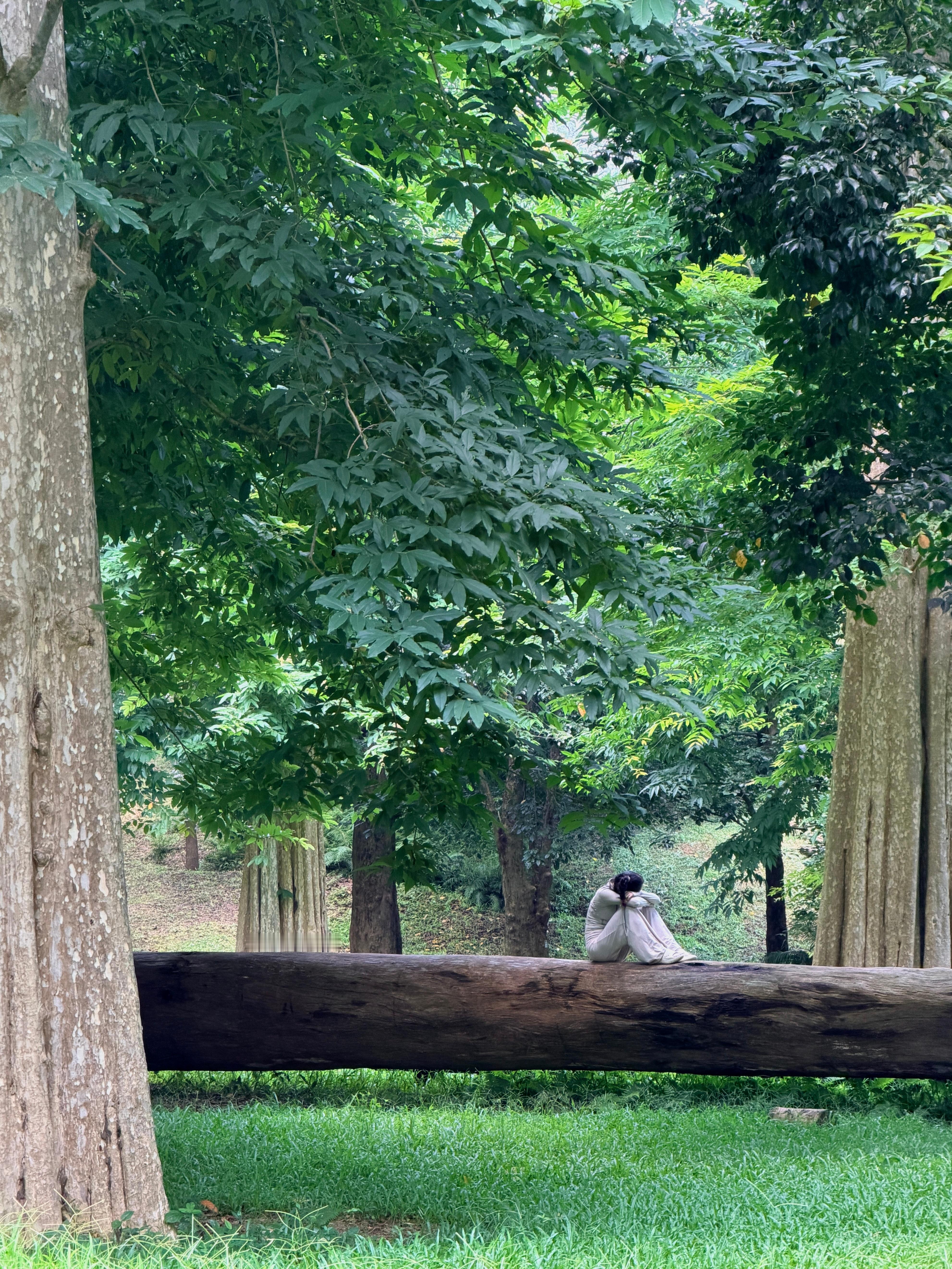 古樹有靈🌳 