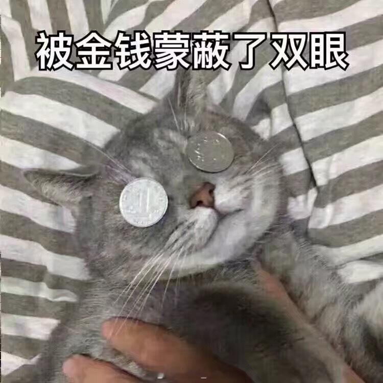 网友质疑韦东奕为何编写小学教辅韦东奕属于数学天赋型选手，其水平肯定足够。不过…面