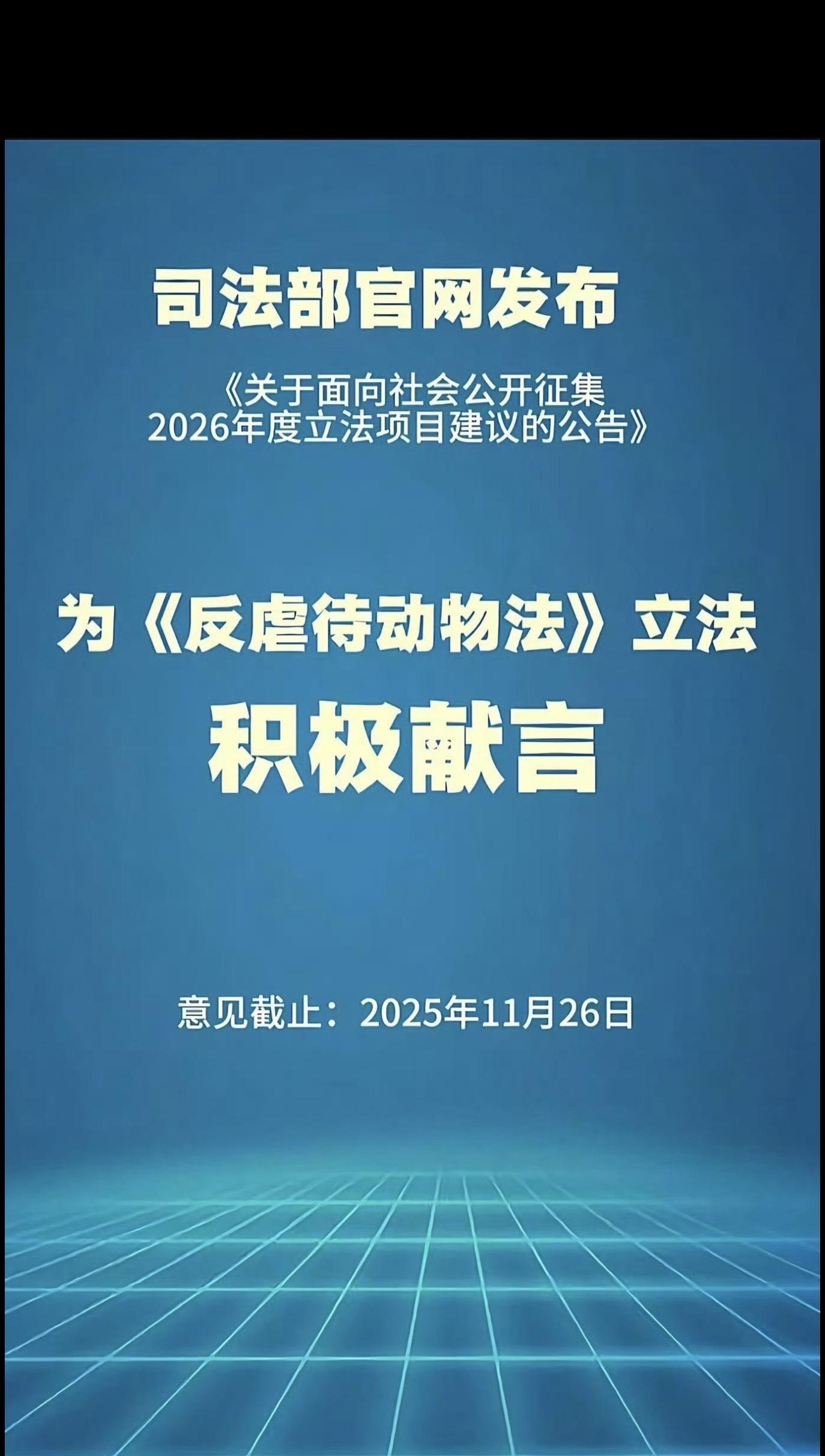 动物不会说话，它们需要你。最大的悲剧不是坏人的喧嚣 而是好人的沉默 那...