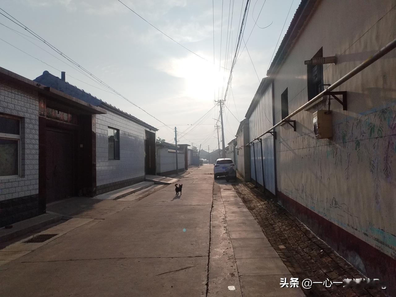 众友友早上好！
今天是8月18日星期二，是个好日子，818我要发！日出时间5.2