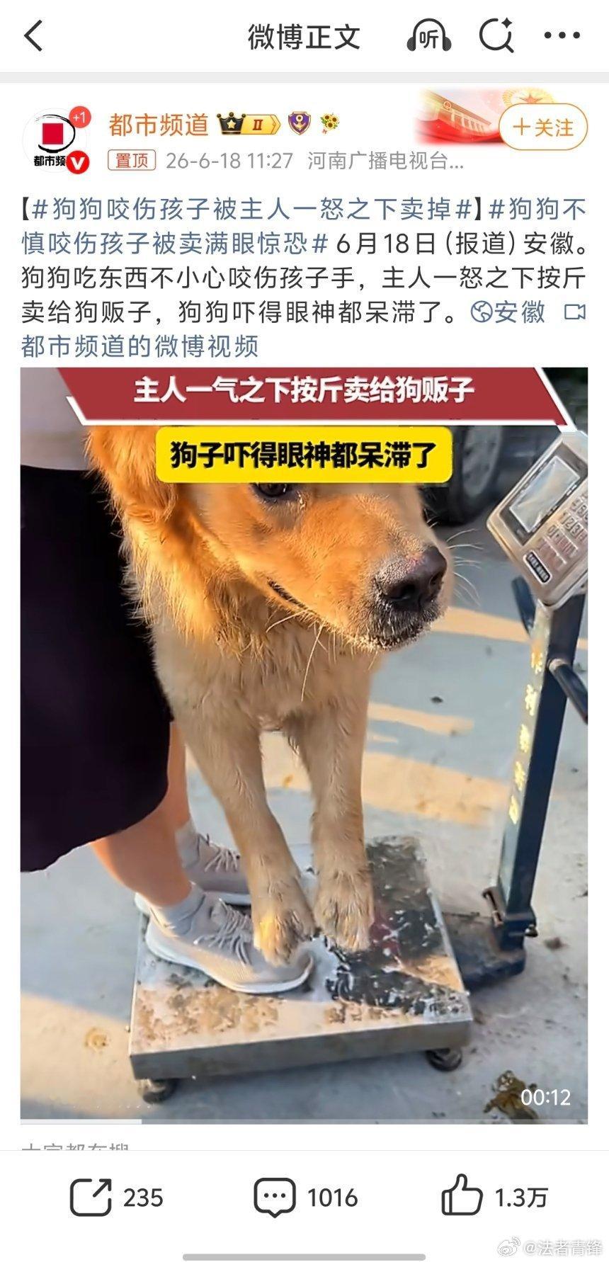 狗狗不慎咬伤孩子被卖满眼惊恐每个人都有权利处置自己的合法财产，但不能有违公序良俗