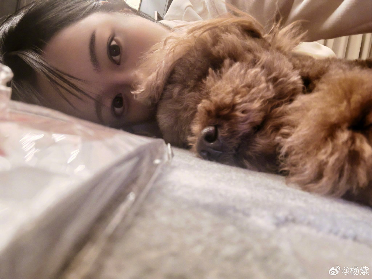 杨紫和piupiu 真有爱啊 