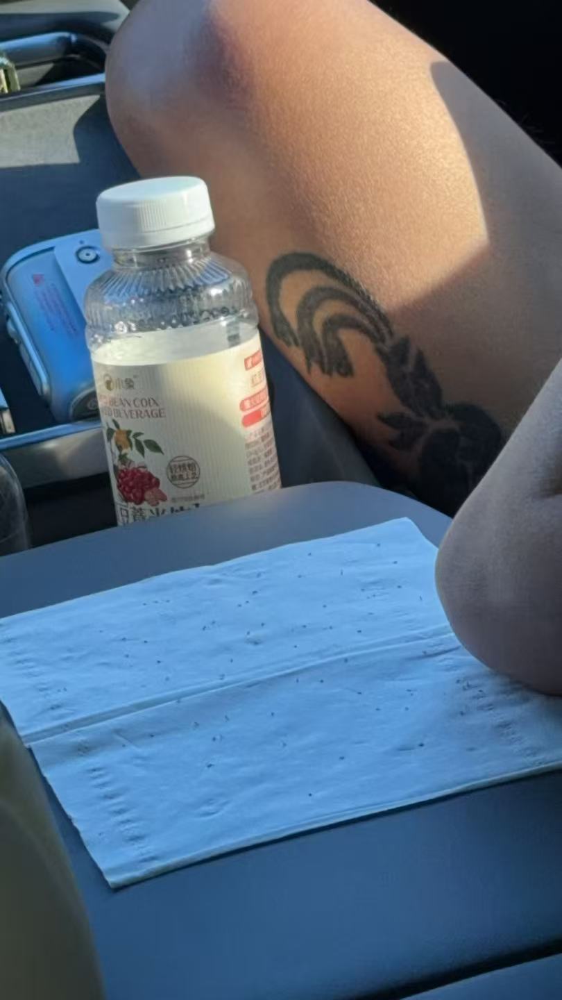 图片是周日车上摁死的蚂蚁数量，还有一堆没摁住！原因分析：车上莫名其妙的入住了一堆