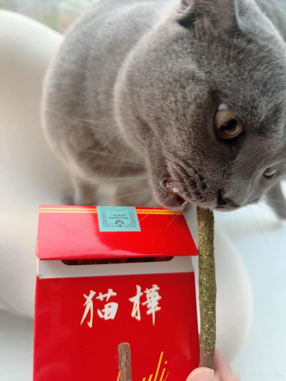 吸毒中 