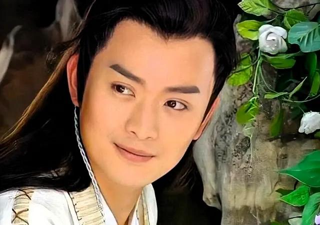 黄海冰应该是琼瑶最遗憾的男演员了，拒绝了琼瑶4次邀请，完美错过了尔康，萧剑等角色