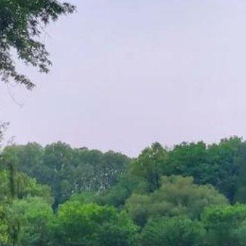 小河环绕着家乡，像一条冬日里美丽的围巾，温暖家乡人心窝。小河又似一汪清泉，滋润家
