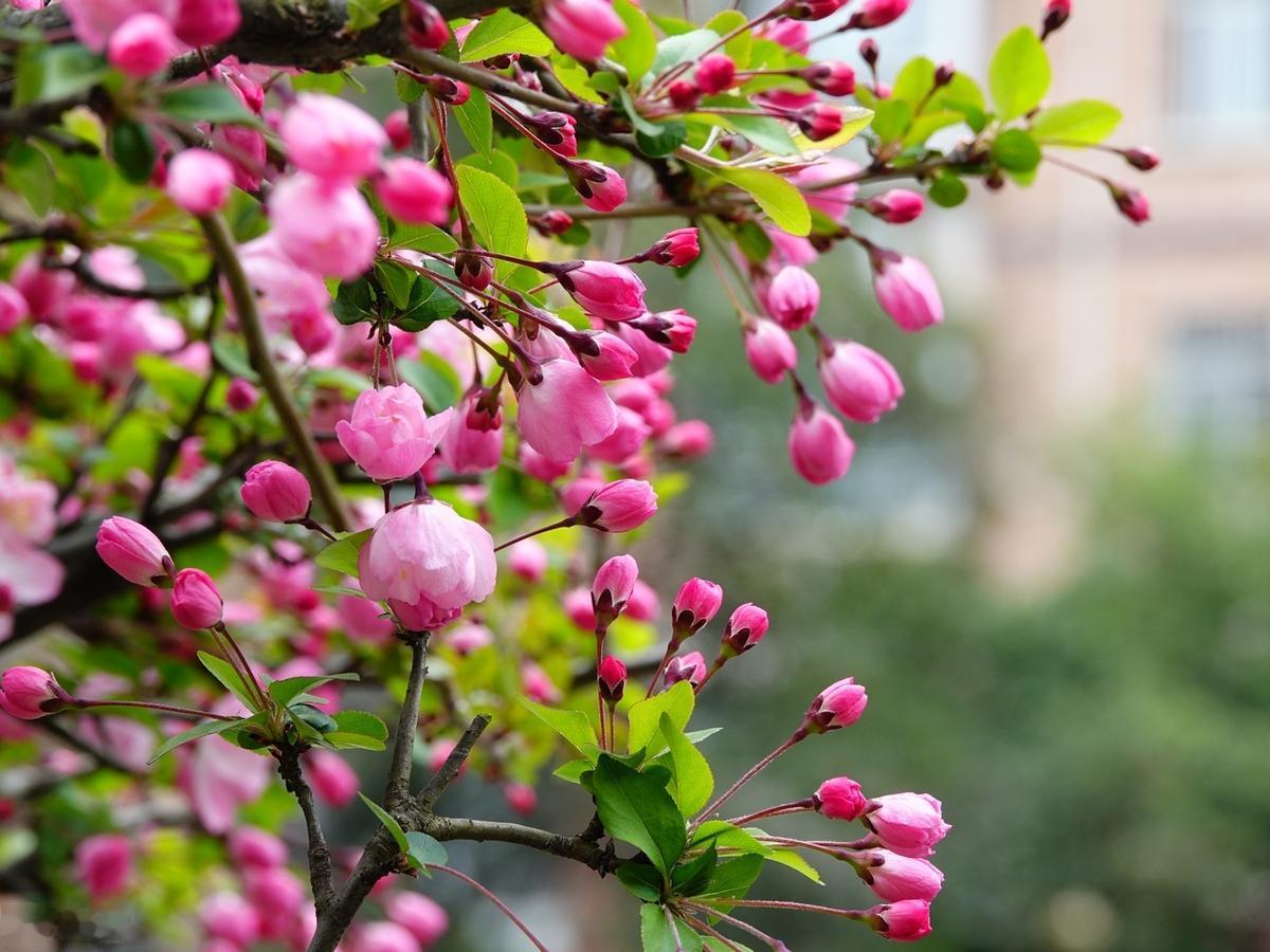 人生是很累的，你现在不累，以后就会更累。人生是很苦的，你现在不苦，以后就会更苦。