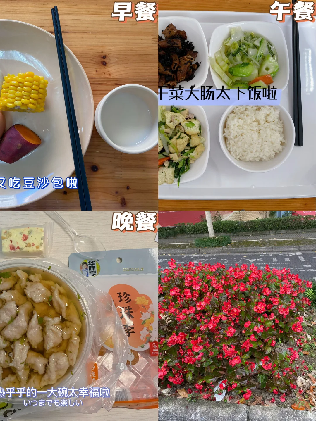 📅11.26｜ 好好吃饭｜英语发挥不稳定😭