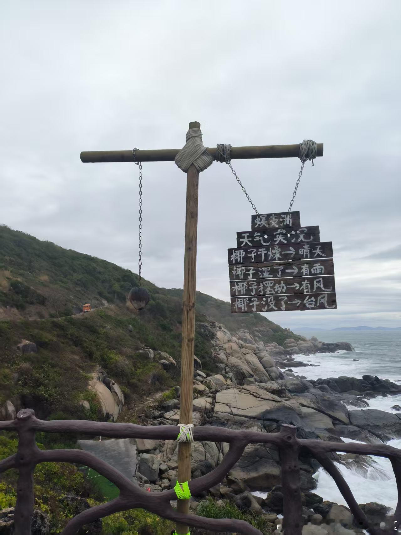 【天气椰来咯～🌴】友友们，小椰来啦！今天又是一个大风天哦～但无论刮风下雨，小椰