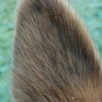 阳光信用 每日一善 打卡，早上好，这个冬天东天很好，加油加油加油，你是最棒的 ​