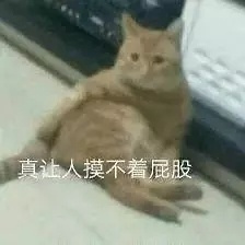 张新成这人到底出了什么问题大IP耽改也试了正午大男主年代剧也试了鲜藕数不清试了多