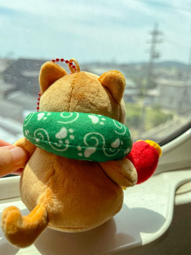 带着小柴犬出差～🚄 