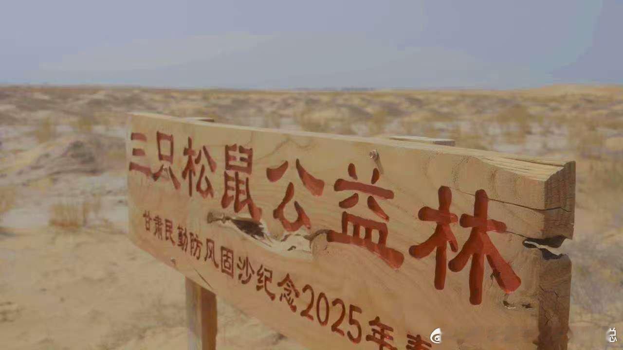 写给地球的绿色来信 世界地球日：绿色包装行动，守护地球之美 在第56个世界地球日