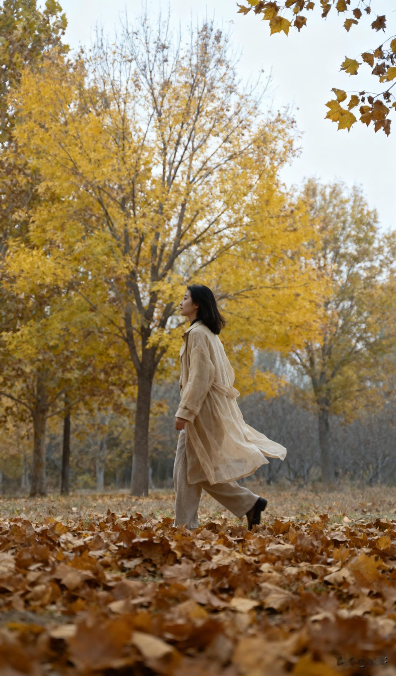 旁人敢随意轻视你、消耗你，不过两种心思：

要么见你“无锋芒”，欺你成本太低；