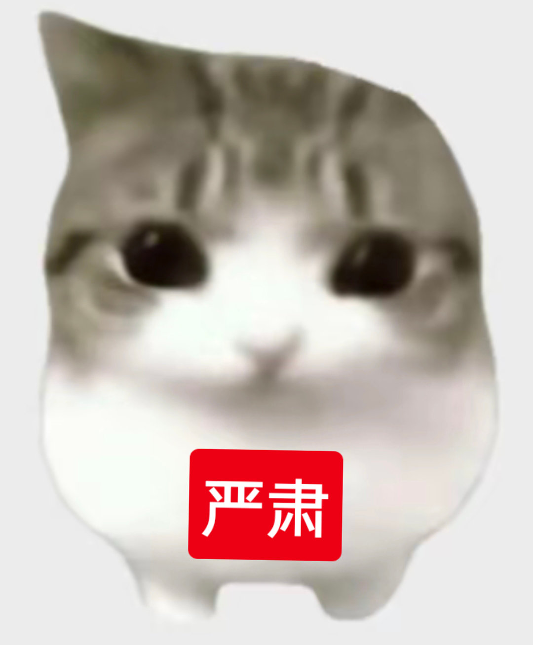 丽丽也攻打我的主页中