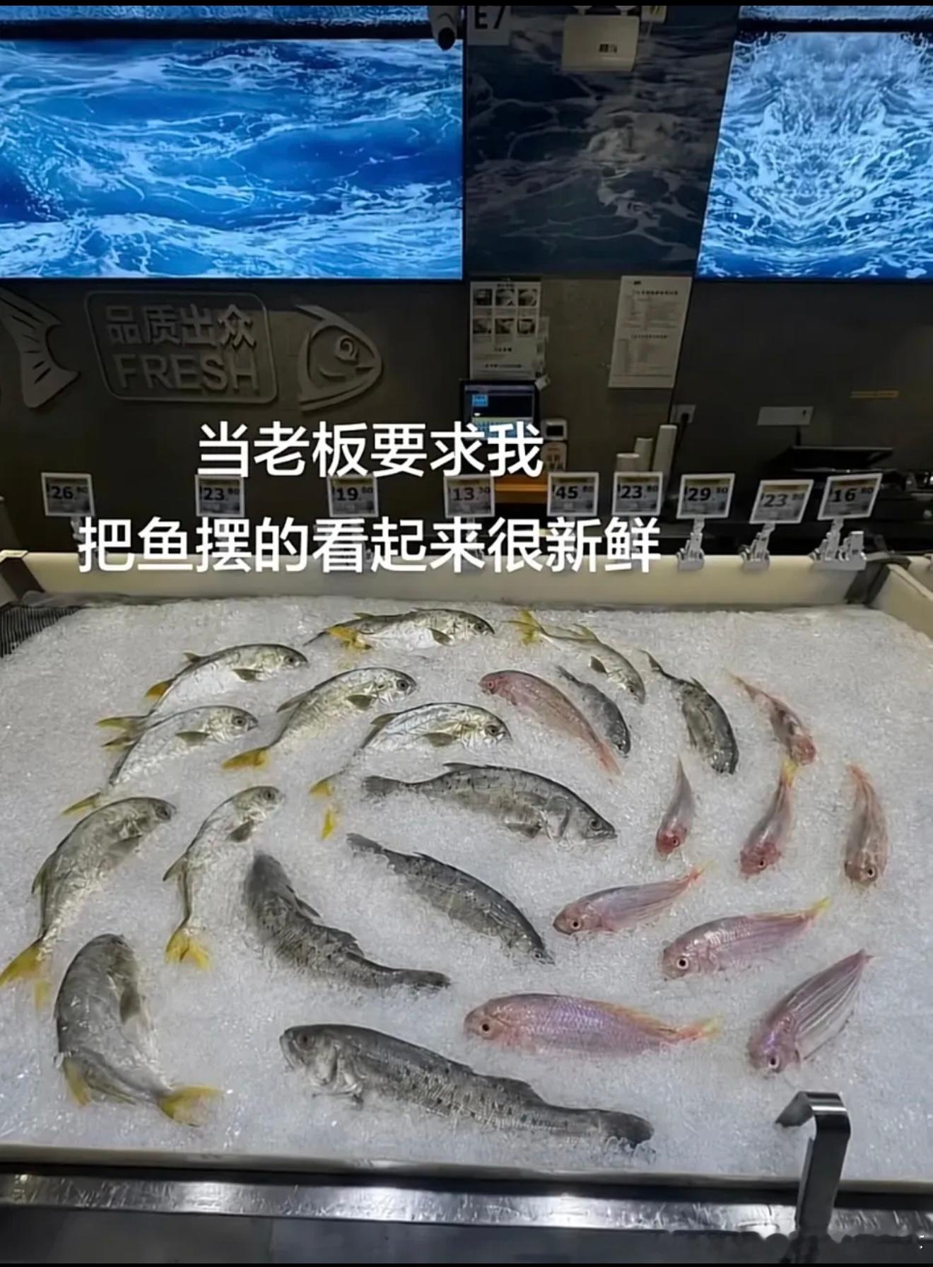 6542很鲜活的鱼 
